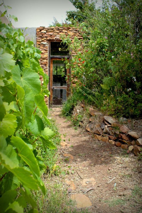 Bethany Farm Twee Riviere Luaran gambar